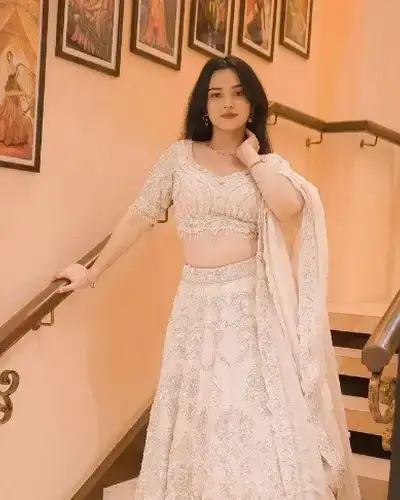 Escort Service In Amritpur